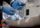 COVID-19  |   Recovered Tablighis donate plasma