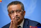 WHO chief to review its pandemic handling, vows transparency