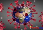 Global coronavirus count surpasses 50 lakh, death toll at 3.28 lakh