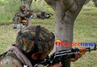 Security forces kill five terrorists in 12-hour operation in J-K’s Shopian