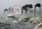 As Hurricane Laura batters US cities, NOAA plane flies through it to capture rare images from inside
