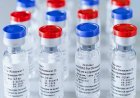 COVID-19 vaccine rollout unlikely before fall 2021, experts say