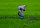 BJP Has Slim Lead Over Opposition In Numbers Game On Farm Bills