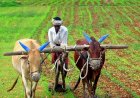 Why Many Farmers And Some Parties Oppose The New Farm Laws