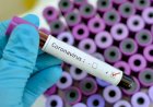 Scientists identify 'highly effective' antibodies against Covid-19 that may lead to a passive vaccine