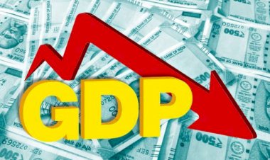 GDP to be reduced by 20