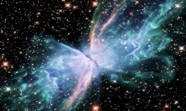 Hubble Provides Holistic View of Stars Gone Haywire