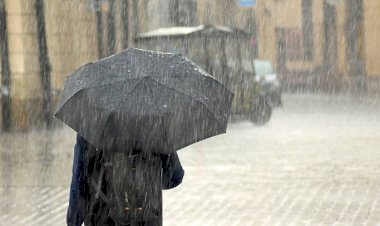 IMD predicts heavy rain in several states
