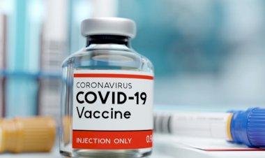 Bharat Biotech's COVID-19 vaccine trials conducted on 375 people across India