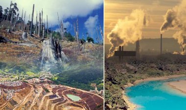 EIA 2020: What you need to know