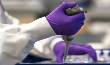 How to make COVID vaccine at home, was the second most searched Google query last month!