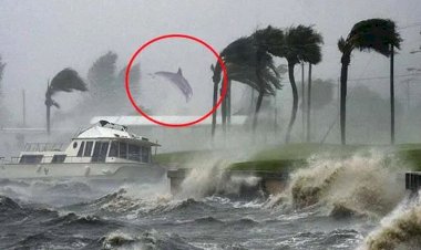 As Hurricane Laura batters US cities, NOAA plane flies through it to capture rare images from inside