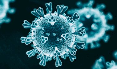 After coronavirus, bacterial infection Brucellosis outbreak in China post vaccine leak, over 3,000 infected