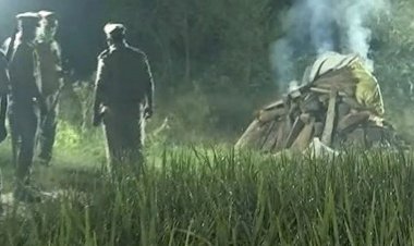 UP gang rape: India victim cremated 'without family's consent'