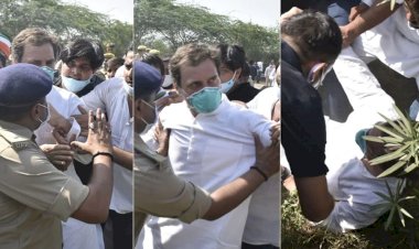 ‘Anti-democratic’: Opposition slams ‘reckless’ UP Police for detaining Rahul Gandhi