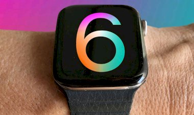 Apple Watch Series 6 and Watch SE go on sale in India Everything you need to know