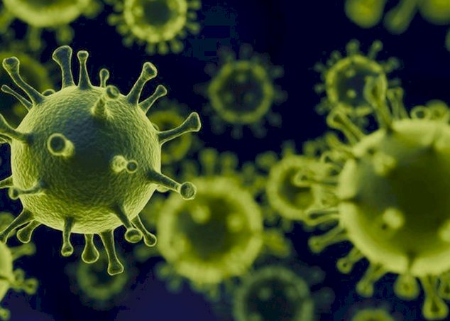Coronavirus can survive for 20 years in minus 20 degrees celsius | Chinese expert