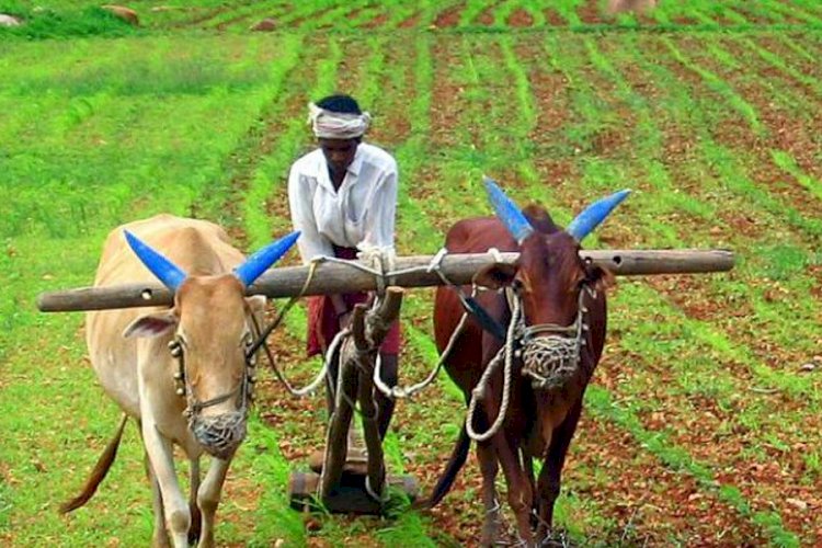 Why Many Farmers And Some Parties Oppose The New Farm Laws