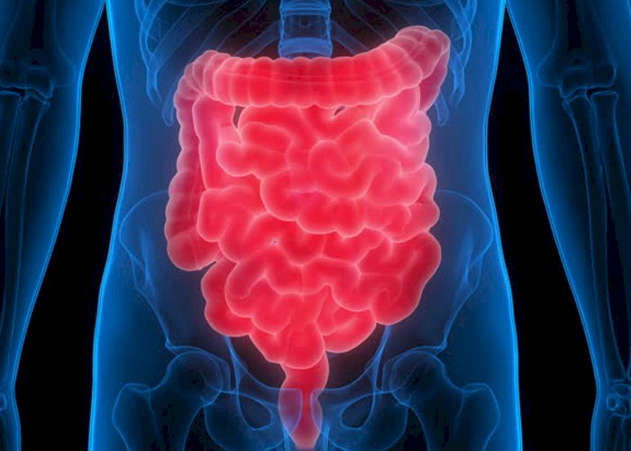 5 easy and natural ways to improve your digestion